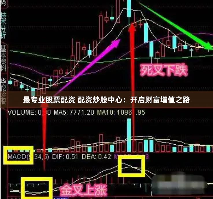 最专业股票配资 配资炒股中心：开启财富增值之路